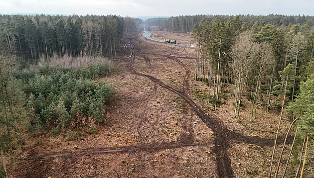 Firmy u pokácely stromy v místech, kde vyroste nový most pes údolí eky...