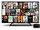 Internetová televize Pecka TV