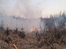 etn lesn pory na Bruntlsku zaloil nejspe h, hasii jich za krtkou...