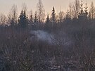 etn lesn pory na Bruntlsku zaloil nejspe h, hasii jich za krtkou...