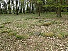Souasn stav mohylovho pohebit u Frantikovch Lzn