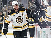 REKORDMAN. David Pastrák slaví trefu proti Pittsburghu, ím pekonal eský...