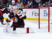 Branká� Ottawy Linus Ullmark inkasuje v utkání proti New York Rangers.