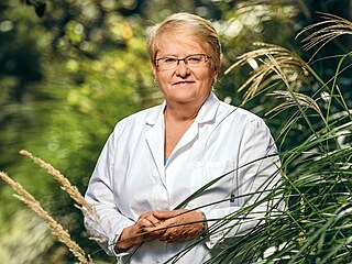 Iva Holmerová