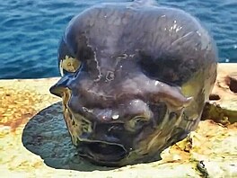 Rybá� Roman Fedortsov z Ruska �okoval internet svým nejnov�j�ím úlovkem �...