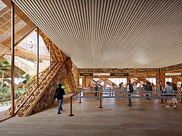 Je reálné n�co takového stihnout? Teoreticky ano. Jde prý o celonárodní...