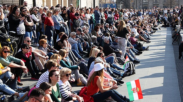 Tis�ce lid� v sobotu demonstrovaly v centru Budape�ti za v�ce pen�z pro dlouhodob� zanedb�van� ma�arsk� zdravotnictv�. (8. b�ezna 2025)