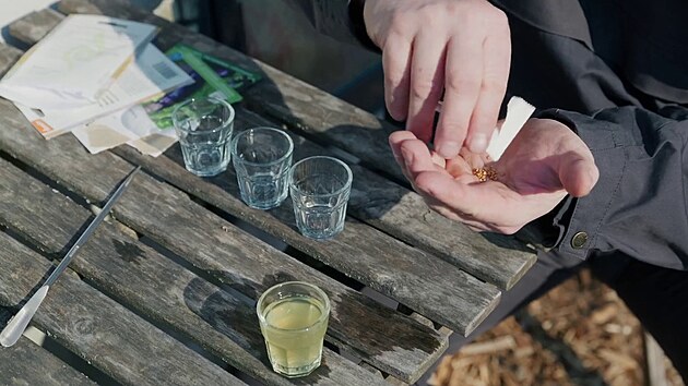 M��en�m urychl�te kl��en�, zkr�t�te tedy dobu pot�ebnou na vyp�stov�n� sazeni�ek.