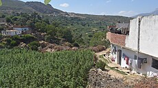 Uprost�ed konopných lán� stojí men�í shluk obydlí. (24. srpna 2024)