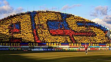 Choreo sparanských fanouk bhem utkání v Olomouci