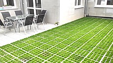 Zelený dvorek bez starostí: Jak jsme sami polo�ili zatrav�ovací ro�ty