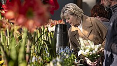 Výstava Pedjaí: Prchavé existence v Empírovém skleníku Praského hradu za...