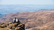 Lesotho je nejvý�e postavený nezávislý stát na sv�t�.  (7. zá�í 2015)