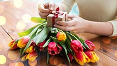 Ilustra�ní snímek