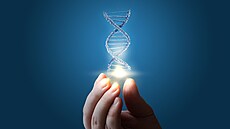 Ilustra�ní snímek