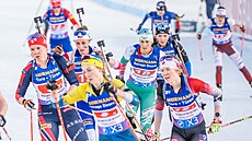 Jessica Jislová bí enskou tafetu v Novém Mst na Morav.