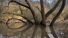 Radní chystají zm�ny v ji�ní �ásti Pardubic. Cht�jí, aby se v okolí Chrudimky...