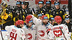 Litvínov, 8.3. 2025, Verva Litvínov - Ocelá�i T�inec, 2. zápas p�edkola play...