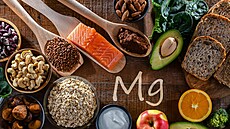 Ilustraní fotografie