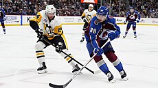 Martin Ne�as (88) z Colorado Avalanche se tla�í k brán� Pittsburgh Penguins,...