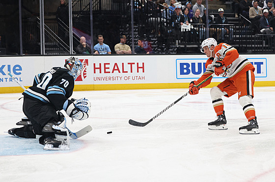 Karel Vejmelka z Utah Hockey Club zasahuje proti Ryanu Stromeovi z Anaheim...