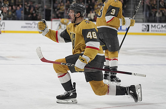 Radost Tomá Hertla po tref proti Los Angeles.