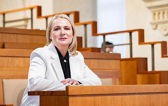 Ministryně obrany Jana Černochová v Senátu (19. března 2025)