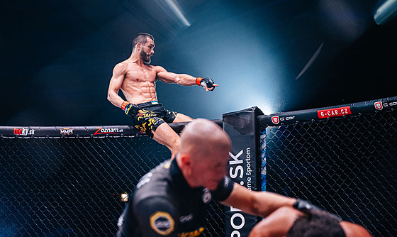 Machmud Muradov ve Stuttgartu