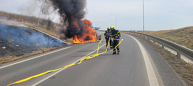 V Opav shoel bavorák, koda je 400 tisíc korun. (9. bezna 2025)