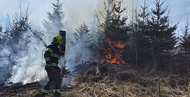 U po�áru lesa na Hlinecku zasahovalo p�t hasi�ských jednotek. (10. b�ezna 2025)