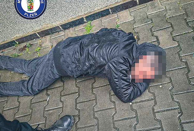 S opilci na ulici se plzetí stráníci setkávají denn. Mnozí se kvli velkému...