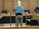 tyiaticetilet narkomanka pi vpovdi na Okresnm soudu v Opav. Se svm...