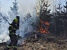 U poru lesa na Hlinecku zasahovalo pt hasiskch jednotek. (10. bezna 2025)