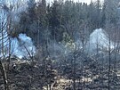 U poru lesa na Hlinecku zasahovalo pt hasiskch jednotek. (10. bezna 2025)
