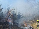 U poru lesa na Hlinecku zasahovalo pt hasiskch jednotek. (10. bezna 2025)