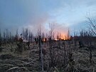 Hasii zasahovali u dal srie lesnch por na Bruntlsku. (11. bezna 2025)