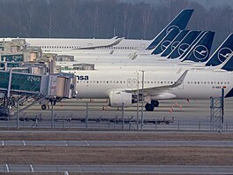 Letadla spole�nosti Lufthansa stojí na terminálu 2 mnichovského leti�t�....