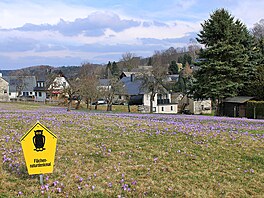 Nejvýznamn�j�í stanovi�t� �afránu jsou chrán�na. V období kv�tu se sem...