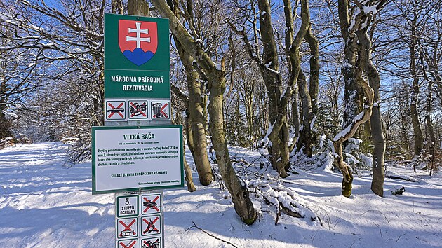 Slovensk bo Vek Rae pokrv stejnojmenn nrodn prodn rezervace chrncjedlobukov lesy a pozstatky smrkovho pralesnho porostu.