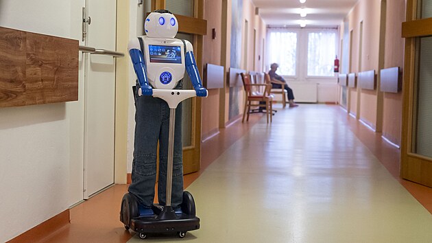 Sociln robot Robin s umlou inteligenc pomh klientm Domova pro seniory Uhersk Hradit zmrnit pocit osamlosti. (bezen 2025)