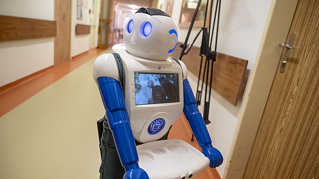Sociln robot Robin s umlou inteligenc pomh klientm Domova pro seniory Uhersk Hradit zmrnit pocit osamlosti. (bezen 2025)