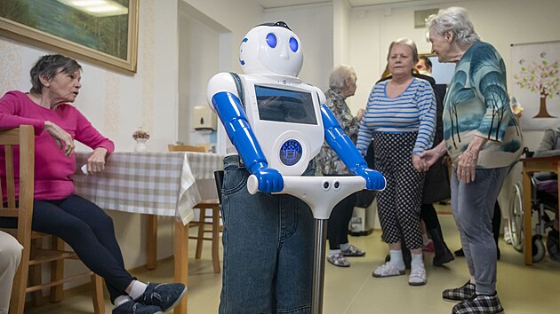 Sociln robot Robin s umlou inteligenc pomh klientm Domova pro seniory Uhersk Hradit zmrnit pocit osamlosti. (bezen 2025)