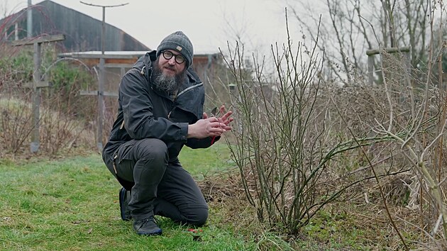 Star�� ke�e ryb�zu je pot�eba zmladit a prosv�tlit. P�elom zimy a jara, dokud jsou ke�e hol�, je pro to ide�ln�. 