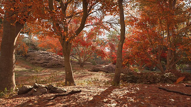 Assassin�s Creed Shadows