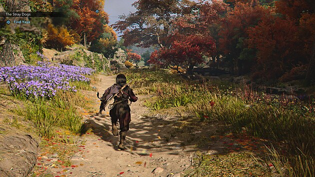 Assassin�s Creed Shadows