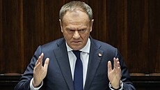 Polský premiér Donald Tusk pedstavuje v Sejmu svou vizi plmilionové armády....