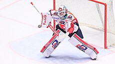 Pardubický branká� Roman Will v akci.