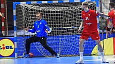 eský branká Tomá Mrkva práv dostal branku v utkání s Chorvatskem.