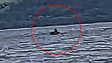 Jedno z minulých pozorování. Ve skotském jeze�e Loch Ness se objevil tajemný...
