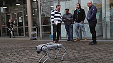 Kam po �kole nebo kde najít brigádu. To byl hlavní zájem n�kolika tisíc...